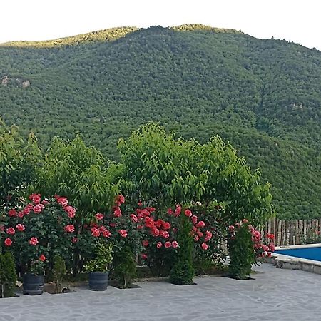 Green Garden Կանաչ Այգի Ijevan Eksteriør bilde
