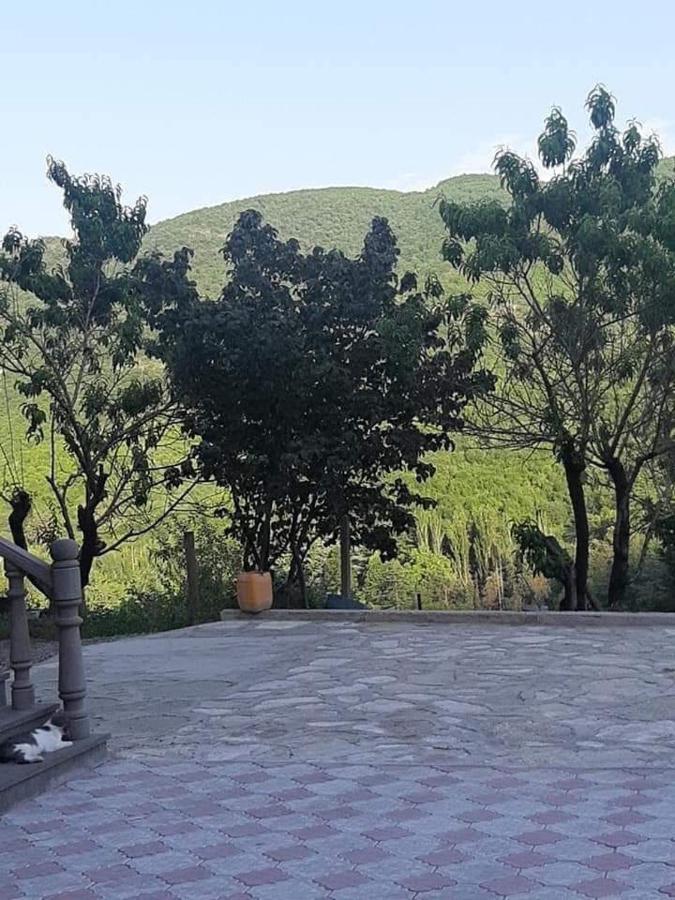 Green Garden Կանաչ Այգի Ijevan Eksteriør bilde