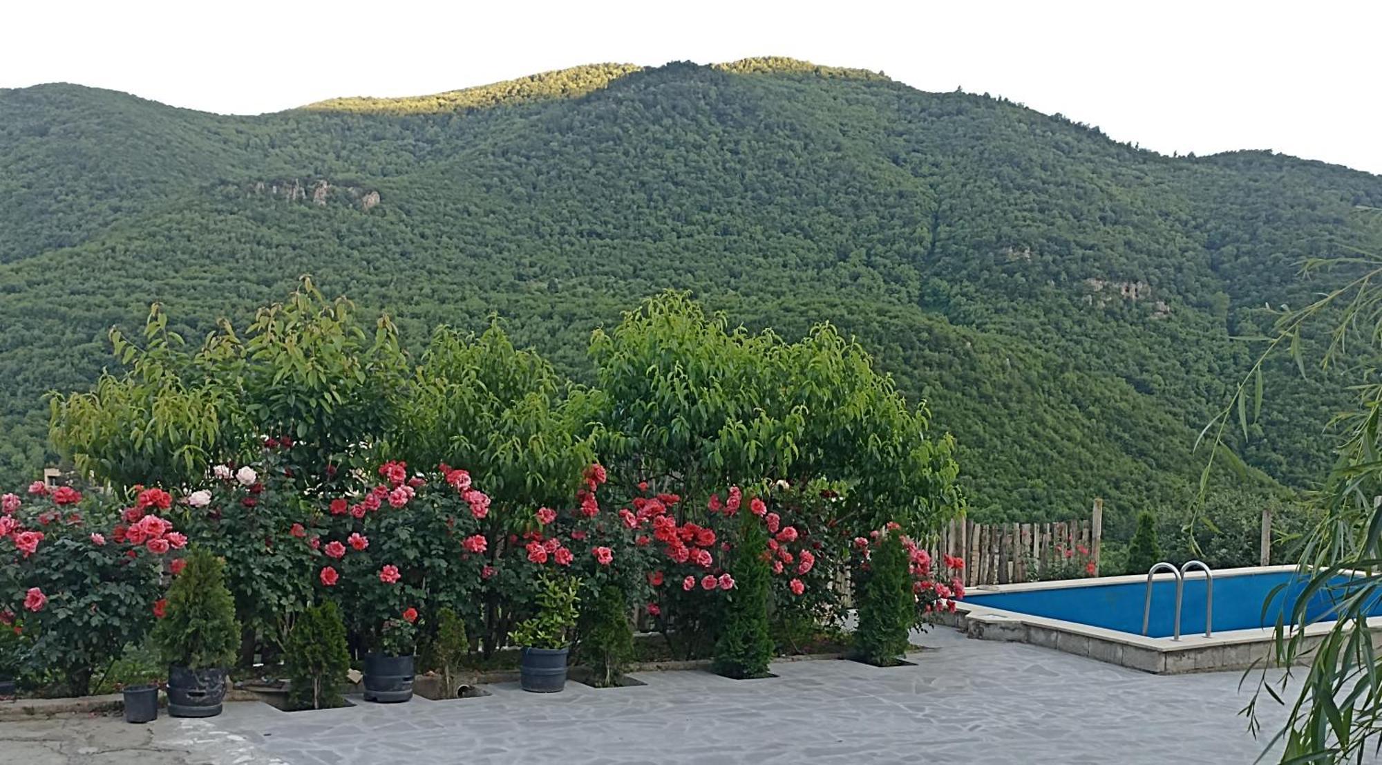 Green Garden Կանաչ Այգի Ijevan Eksteriør bilde