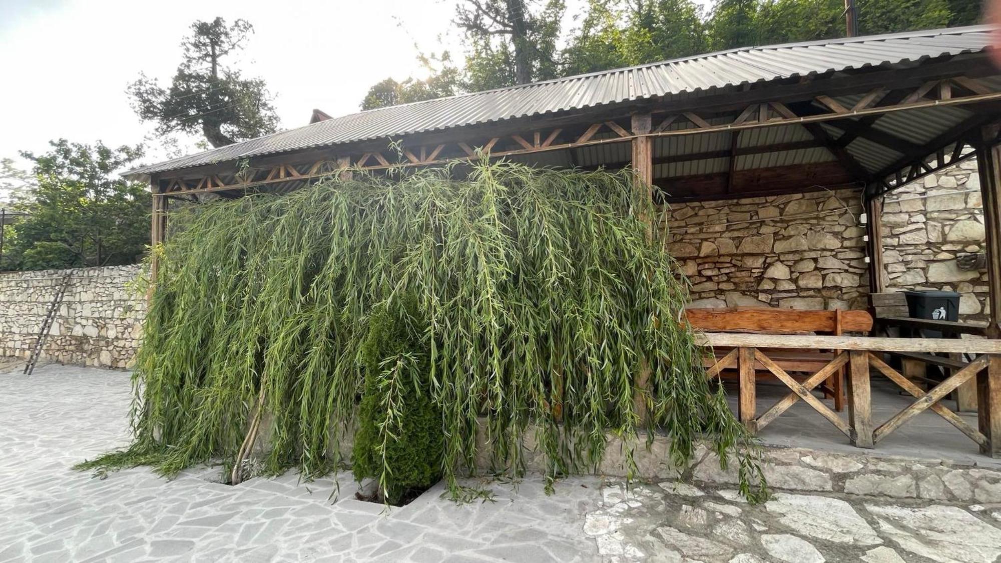 Green Garden Կանաչ Այգի Ijevan Eksteriør bilde