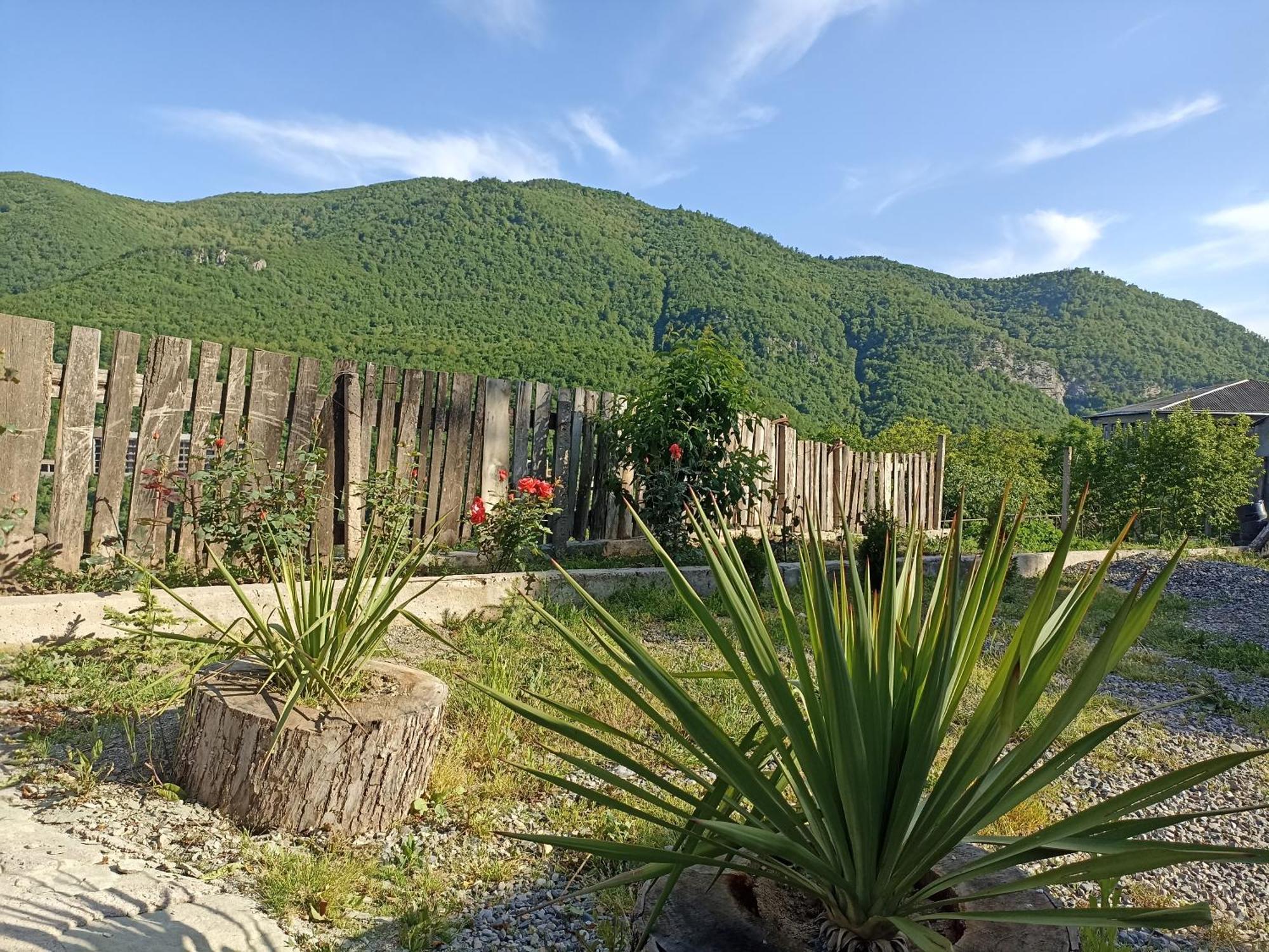 Green Garden Կանաչ Այգի Ijevan Eksteriør bilde