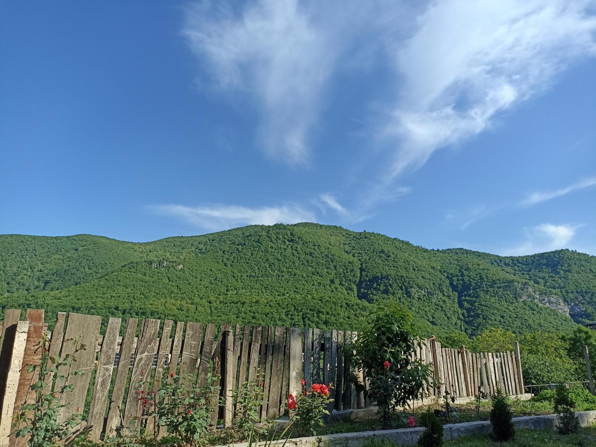 Green Garden Կանաչ Այգի Ijevan Eksteriør bilde