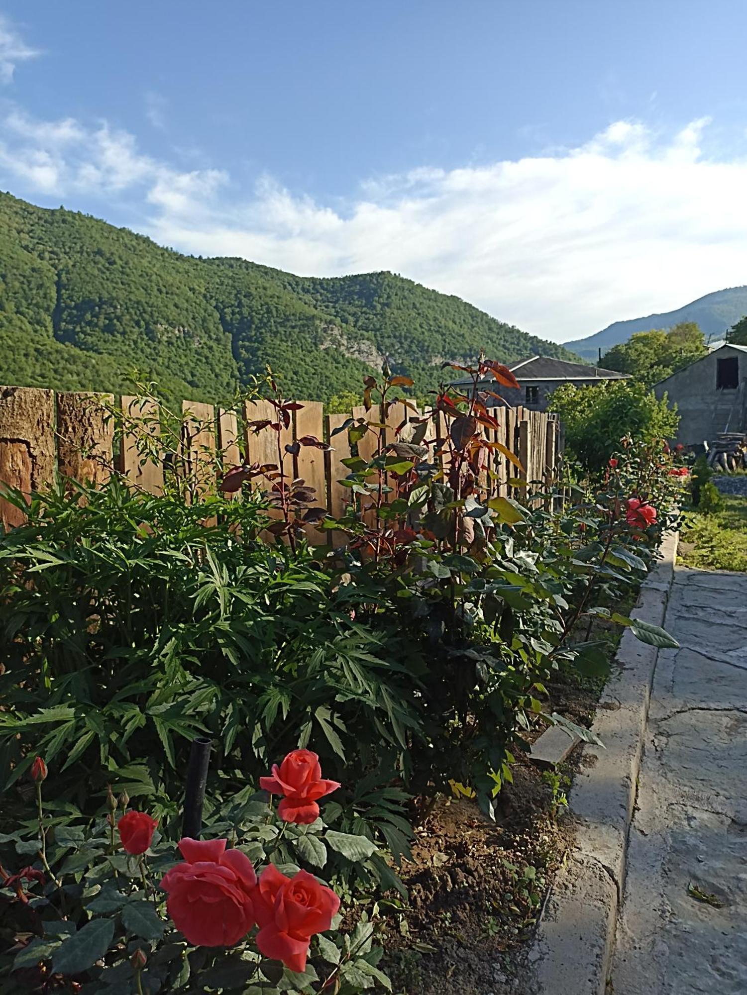 Green Garden Կանաչ Այգի Ijevan Eksteriør bilde