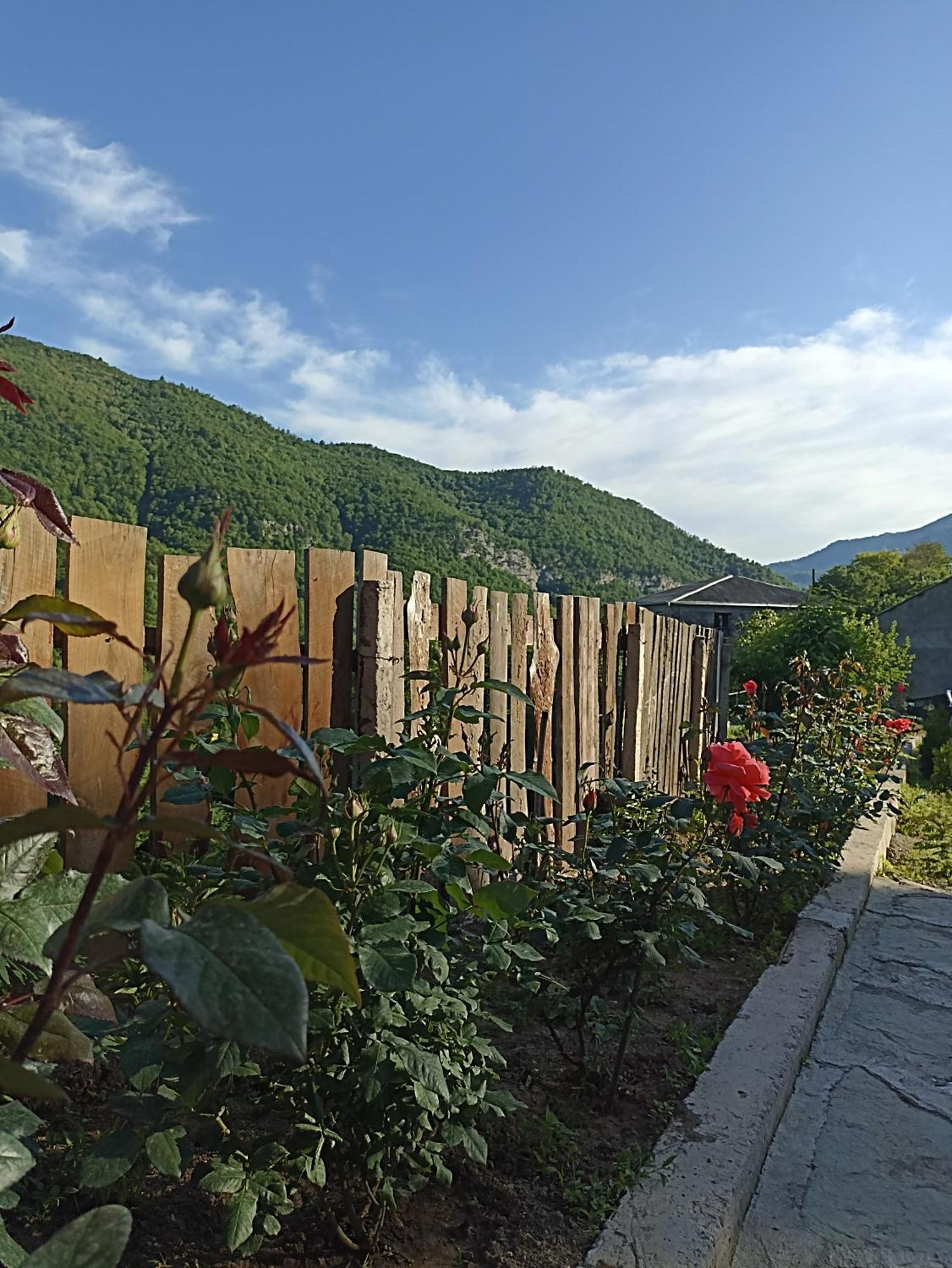 Green Garden Կանաչ Այգի Ijevan Eksteriør bilde